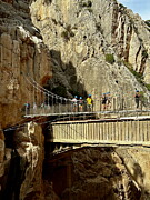 Hikers Explore Suspension Bridge Along Caminito del Rey Photograph by Travel Essayist
