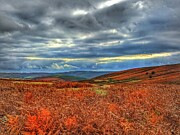 Hiking Near Builth Wells Photograph by Call Me Abbie - Abbie Shores