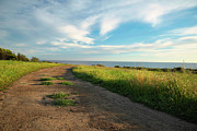 Hiking Trail Overlooking the Ocean Photograph by Matthew DeGrushe Hiking Trail Overlooking the Ocean Photograph by Matthew DeGrushe