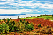 Hilly farmland by St.Laurent River, Quebec Photograph by Tatiana Travelways