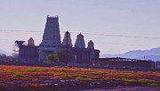 Hindu Temple in Arizona Desert Photograph by Judy Kennedy