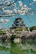 Hiroshima Castle 01 Photograph by Niels Nielsen