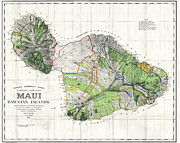 Historic Map Maui Hawaii 1885 Drawing by Carol Japp