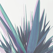Holographic Leaves Photograph by Cassia Beck