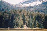 Home on the Channel Photograph by Charles Vice