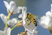 Honey Bee Digital Art by Jerry Dalrymple