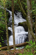 Honey Cove Falls 4 Photograph by Phil Perkins