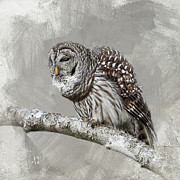 Hooting It Up Photograph by Jai Johnson