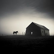 Horse Near Old Abandoned Barn Digital Art by Yo Pedro