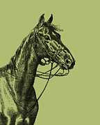 Horse Portrait Digital Art by Madame Memento