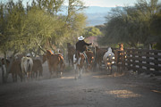 Serenity Morning Ranch Photograph by Kelly Markus