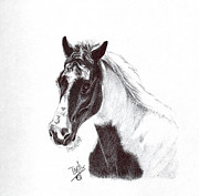 Horse Drawing by Terri Mills