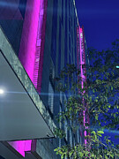 Hot Pink Photograph by Leslie Brashear