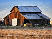 Hot Tin Roof Photograph by Gene Parks