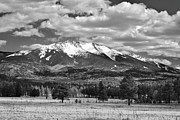 Humphreys Peak, Flagstaff Arizona Black and White Landscape Photograph by Chance Kafka