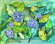 Hydrangea Painting by Clara Sue Beym Hydrangea Painting by Clara Sue Beym
