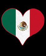 I Heart Mexico Flag Digital Art by Flippin Sweet Gear