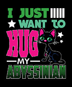 I Just Want to Hug My Abyssinian Cat Digital Art by Jacob Zelazny