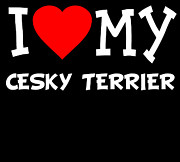 I Love My Cesky Terrier Dog Breed Digital Art by Flippin Sweet Gear