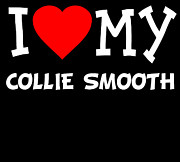 I Love My Collie Smooth Dog Breed Digital Art by Flippin Sweet Gear