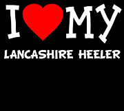 I Love My Lancashire Heeler Dog Breed Digital Art by Flippin Sweet Gear