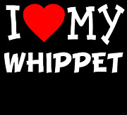 I Love My Whippet Dog Breed Digital Art by Flippin Sweet Gear