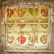 I Love Tomatoes Photograph by Marilyn Cornwell
