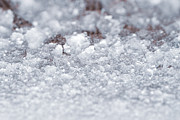 Ice 1 Photograph by Jake Walker
