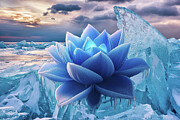 Ice Lotus Digital Art by Lisa Yount Ice Lotus Digital Art by Lisa Yount
