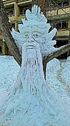 Ice Sculpture1 Photograph by Mark Jackson
