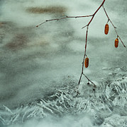 Ice Skater Photograph by Deborah Hughes