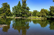 Idlewild Park Photograph by Ron Roberts