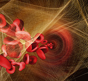 Illustration of red blood cells in artery caught in netting Photograph by John M Lund Photography Inc
