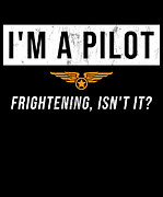 IM A Pilot Frightening IsnT It Distressed Drawing by Noirty Designs