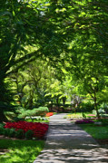 Impressionist Garden Path Digital Art by Amy Dundon