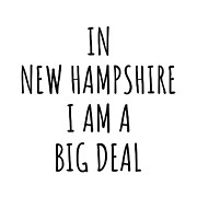 In New Hampshire I'm A Big Deal Funny Gift for Granite Stater Men Women States Proud  Digital Art by Jeff Creation
