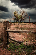 In the Eye of the Storm Photograph by Carmen Kern