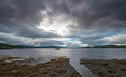  In the Low Tide Photograph by Dubi Roman