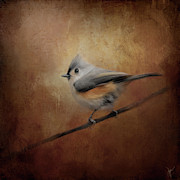 In The Quietness of Autumn Painting by Jai Johnson