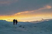 In the snowy steppes of Iceland Photograph by Dubi Roman