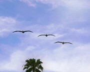 Incoming Photograph by Matthew Adelman