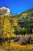 Indian Summer Photograph by Jon Burch Photography Indian Summer Photograph by Jon Burch Photography