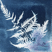 Indigo Fern Foliage Photograph by Elizabeth Reich