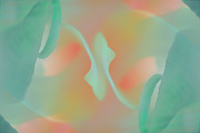 Infinitely Soft Photograph by Bentley Davis Infinitely Soft Photograph by Bentley Davis