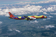 Inflight View Branifff Calder DC-8 Mixed Media by Erik Simonsen