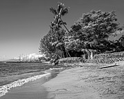 Iniki Park Beach Photograph by Charlie Osborn