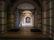Inside the Walkway Rice University Photograph by Mary Lee Dereske