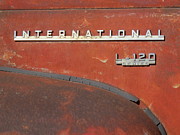 International  Photograph by Gia Marie Houck