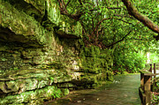 Into Falling Waters Photograph by Louis Dallara