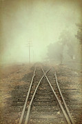 Into the Fog #2 Photograph by Elaine Teague Into the Fog #2 Photograph by Elaine Teague